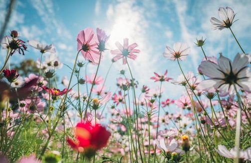 2025公司取名必看！25個大氣聚財的黃金名字模板