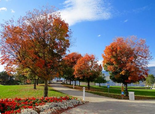 好記的食品店鋪名字分享，好聽又好記，吸引食客駐足品嘗