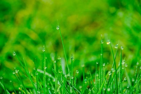 聽了就忘不掉!有記憶點的店名推薦