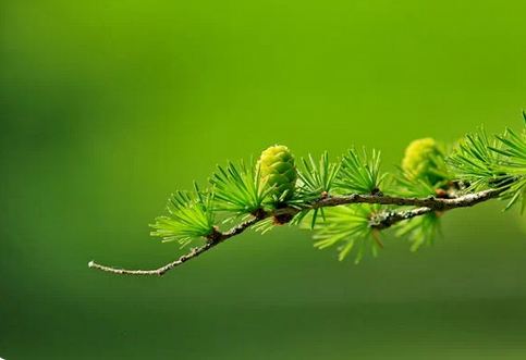 店鋪起名:寓意好的鞋店名字