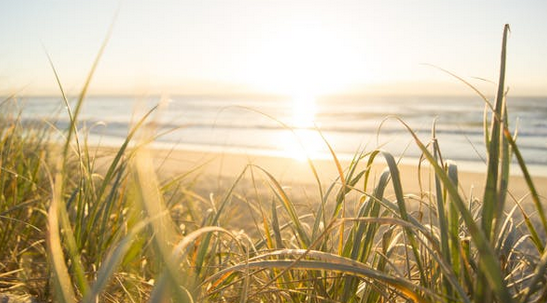 微信名起名:雅到心坎里，不俗的微信昵稱