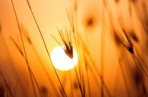 網(wǎng)名起名丨取一個沒人敢罵的網(wǎng)名