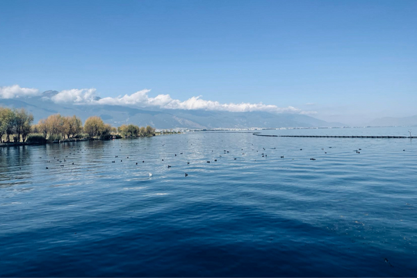 網名,網名取名字大全,一生都喜歡的網名