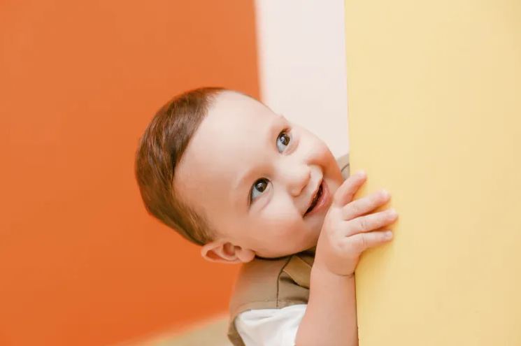 鴻字起名配什么字好？看看鴻字搭配大氣吉利的名字