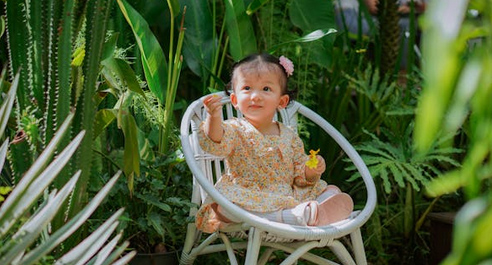 杉字起名丨杉字取名字有什么含義？杉字做名字的怎么樣？