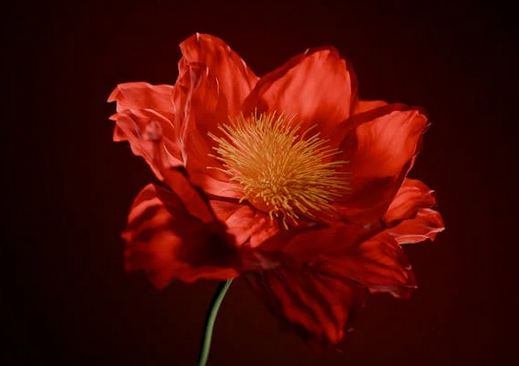 微信昵稱起名丨一用就上頭的微信網名