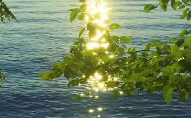 公司起名丨分享30個一聽就高端的公司名字