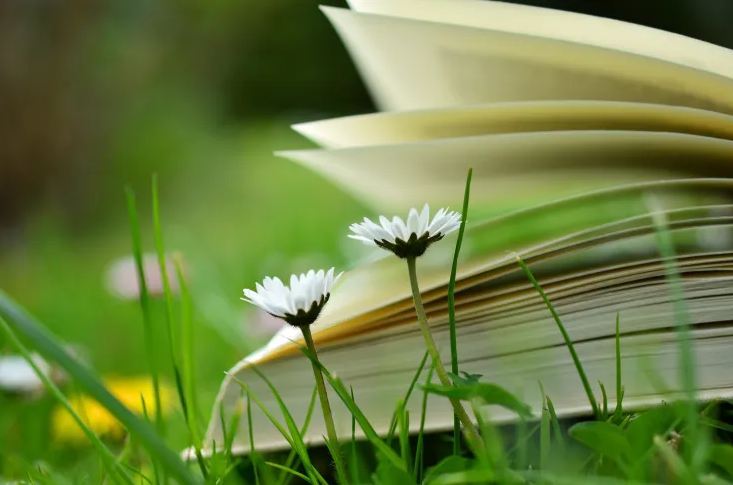 四字網(wǎng)名女生唯美簡單好聽（分享50個）