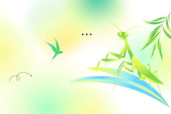 簡(jiǎn)單易記建材商店名字