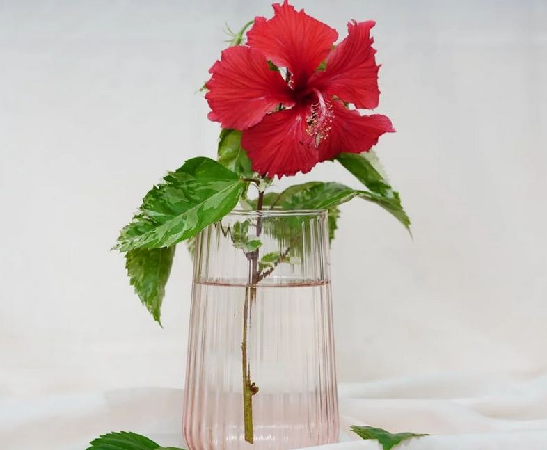 店鋪起名丨分享50個潮一點洋氣女裝店名