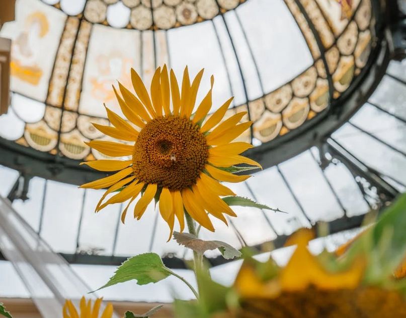 游戲起名丨六個(gè)字勵(lì)志無畏契約游戲取名寶典