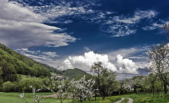 鐘姓易經(jīng)起名，鐘姓男女寶寶吉祥名字