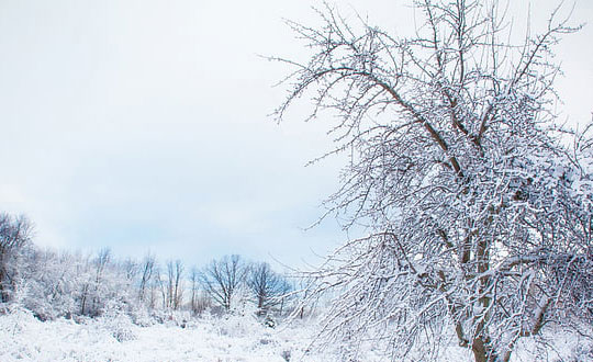 免費起名：吳姓女孩取名字用什么好