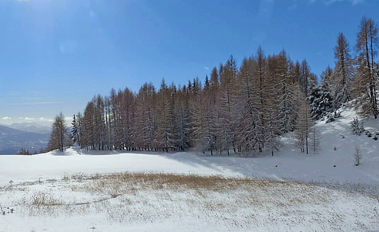 1580444700384799.png 2(36).png