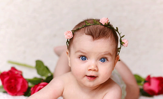 1581072735166916.png 5(153).png