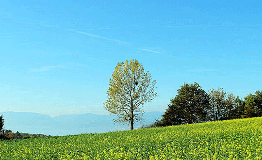 1581076154137889.png 5(251).png