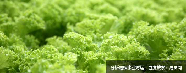 互聯網公司創意名字大全,獨特好聽應有盡有 互聯網公司創意名字大全,獨特好聽應有盡有