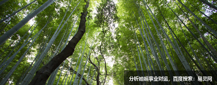 成熟有深度內涵的網名女生 成熟有深度內涵的網名女生